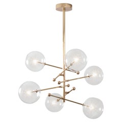 RD15 6 Arms Chandelier by Schwung