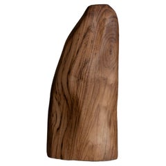 Relief Chestnut Vase 03 by Alice Lahana Studio