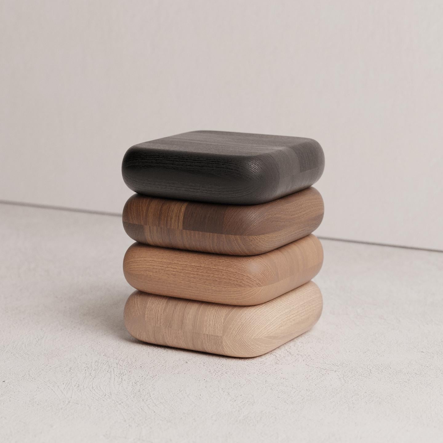 Gradient 02 Oak, Chestnut, Ash, and Beech Wood Stool by Luis Gimeno
Dimensions: D 40 x W 40 x H 50 cm
Materials: Black stained Oak, Chestnut, Ash, Beech.

The idea behind this design was to highlight the natural colors of different woods creating a