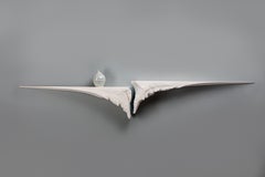 Acias Pair Of Shelves by Tor Rothschild
