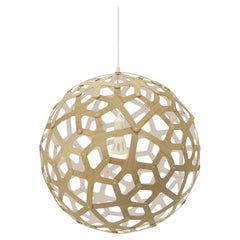 Coral 60 Pendant Lamp in 1 Side Painted Bamboo Plywood by David Trubridge
