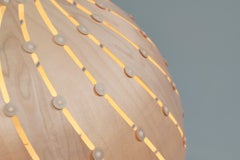 Ebb Bounce Pendant Lamp in Finnish Birch Plywood by David Trubridge