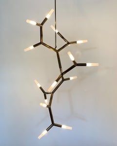 Brass Framework Glass Branch Chain Pendant Light BCAA X by Christopher Boots
