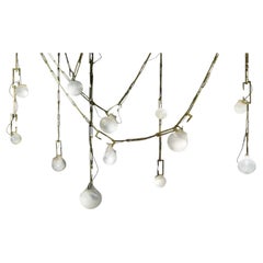 Decorative Brass Glass Pendant Light Nepenthes Complex by Christopher Boots