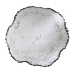 Miroir « Arbo Dark L » en bois aux formes naturelles, finition cadre foncé, par Deknudt Mirrors