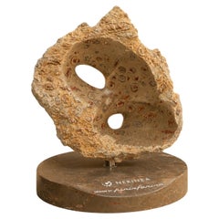 Unique Axis Rock in Jurassic Fossil Stone by NERINEA