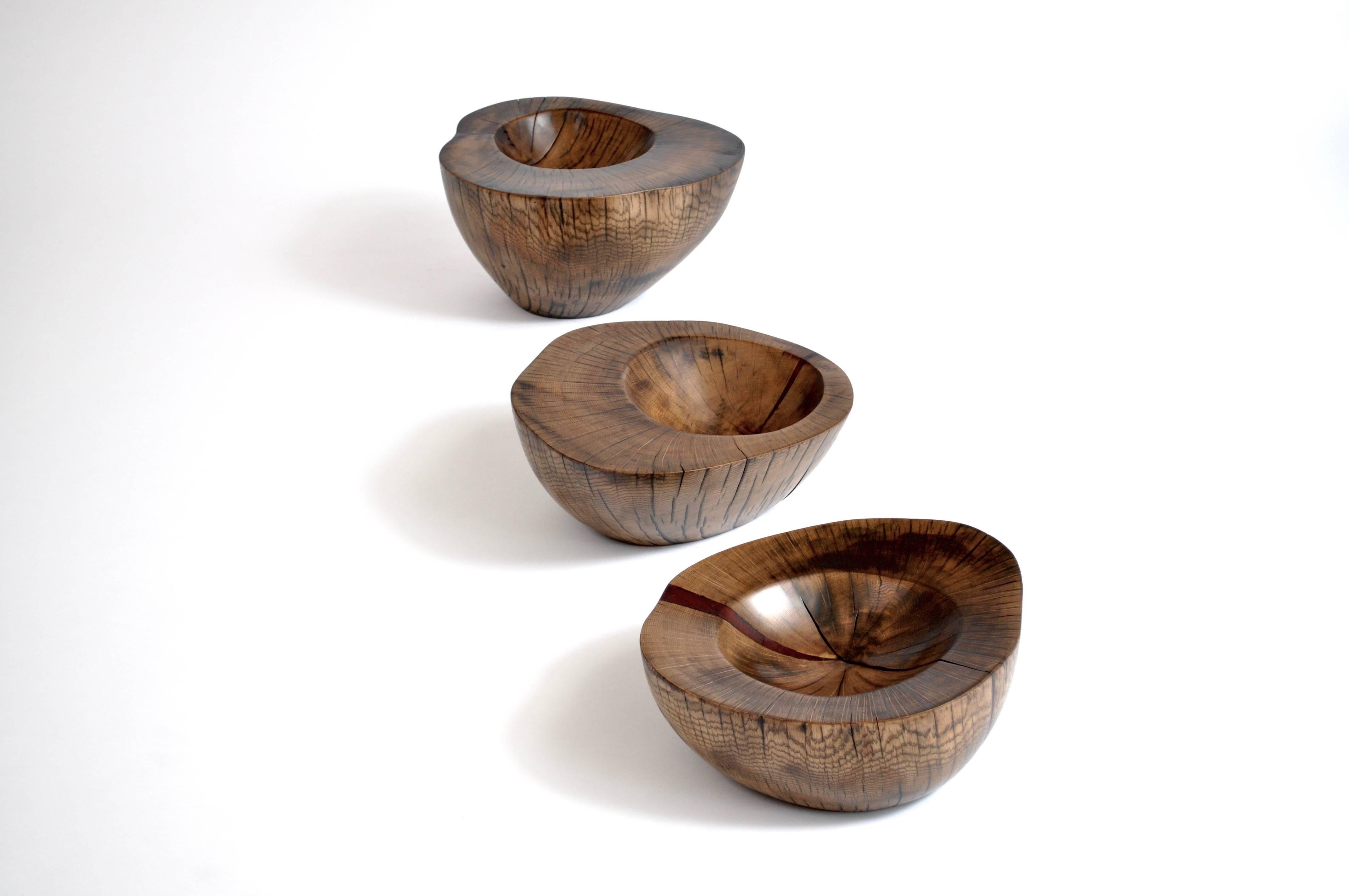 Organic Modern Unique Ebonized Padouk Bowls by Jörg Pietschmann