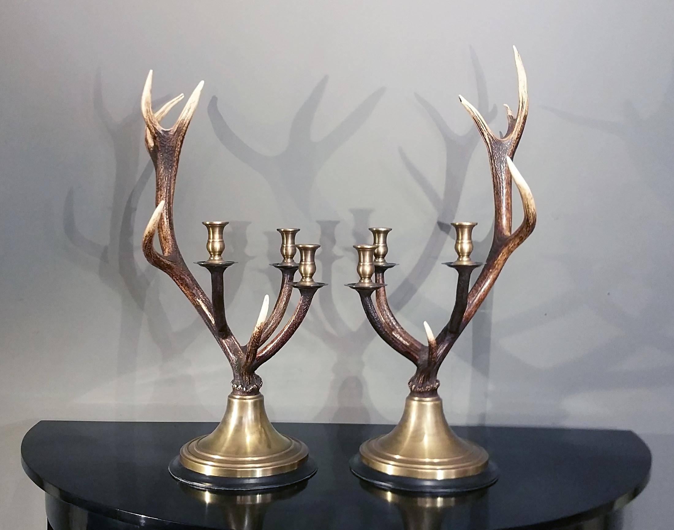 This striking design of naturally shed deer antlers have a trio of polished brass candlestick cups attached around the center and is mounted on a matching brass circular base. They are unique and yet have a contemporary look that would make a lovely
