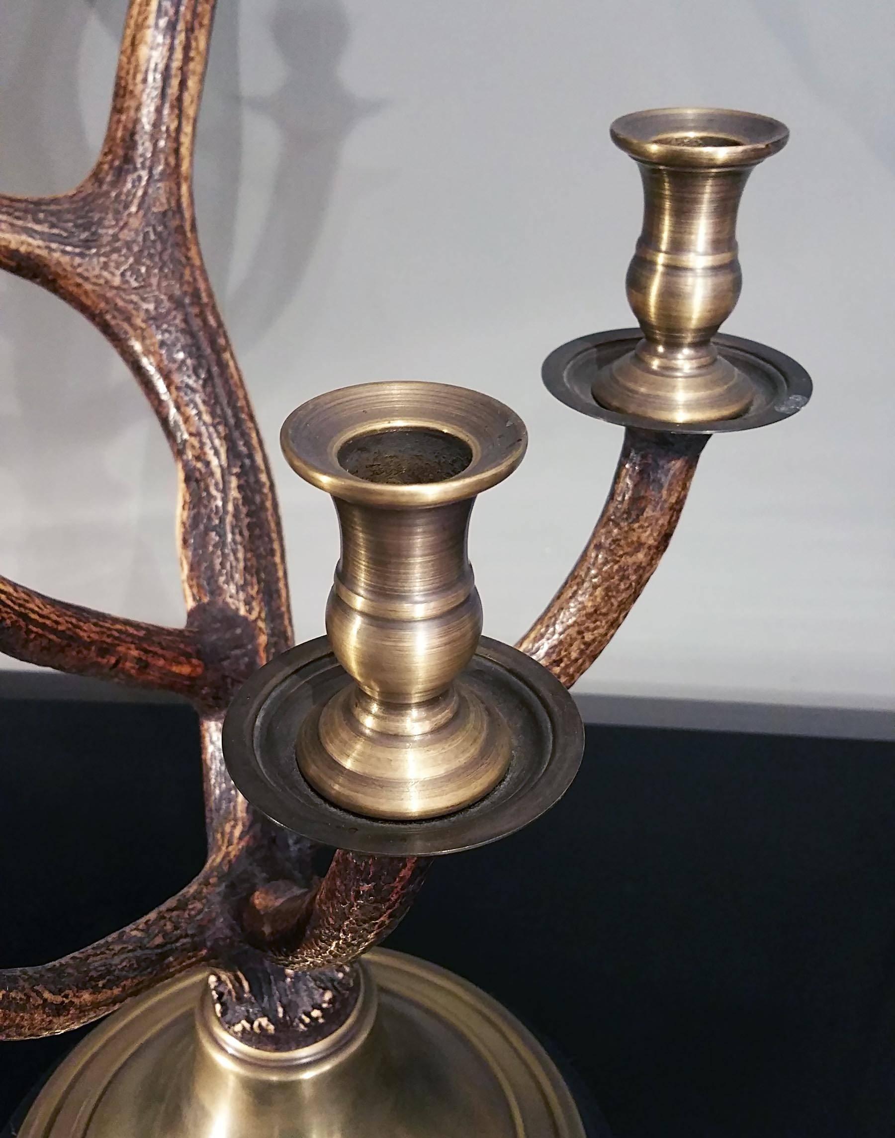 Pair of Natural Deer Antler Candlesticks In Excellent Condition In London, GB