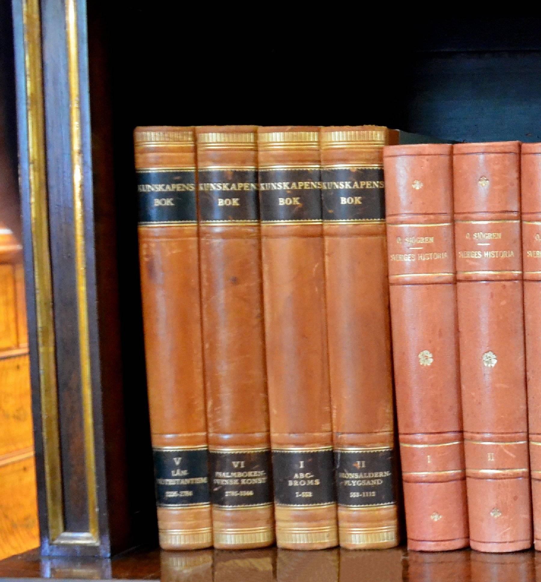 This metre of leather-bound books contains 22 books, in warm colours of dark brown, tan, pale red pink, and bright gold with gold leaf embossing. These books are all in very good condition and would beautifully enhance any bookcase or library.