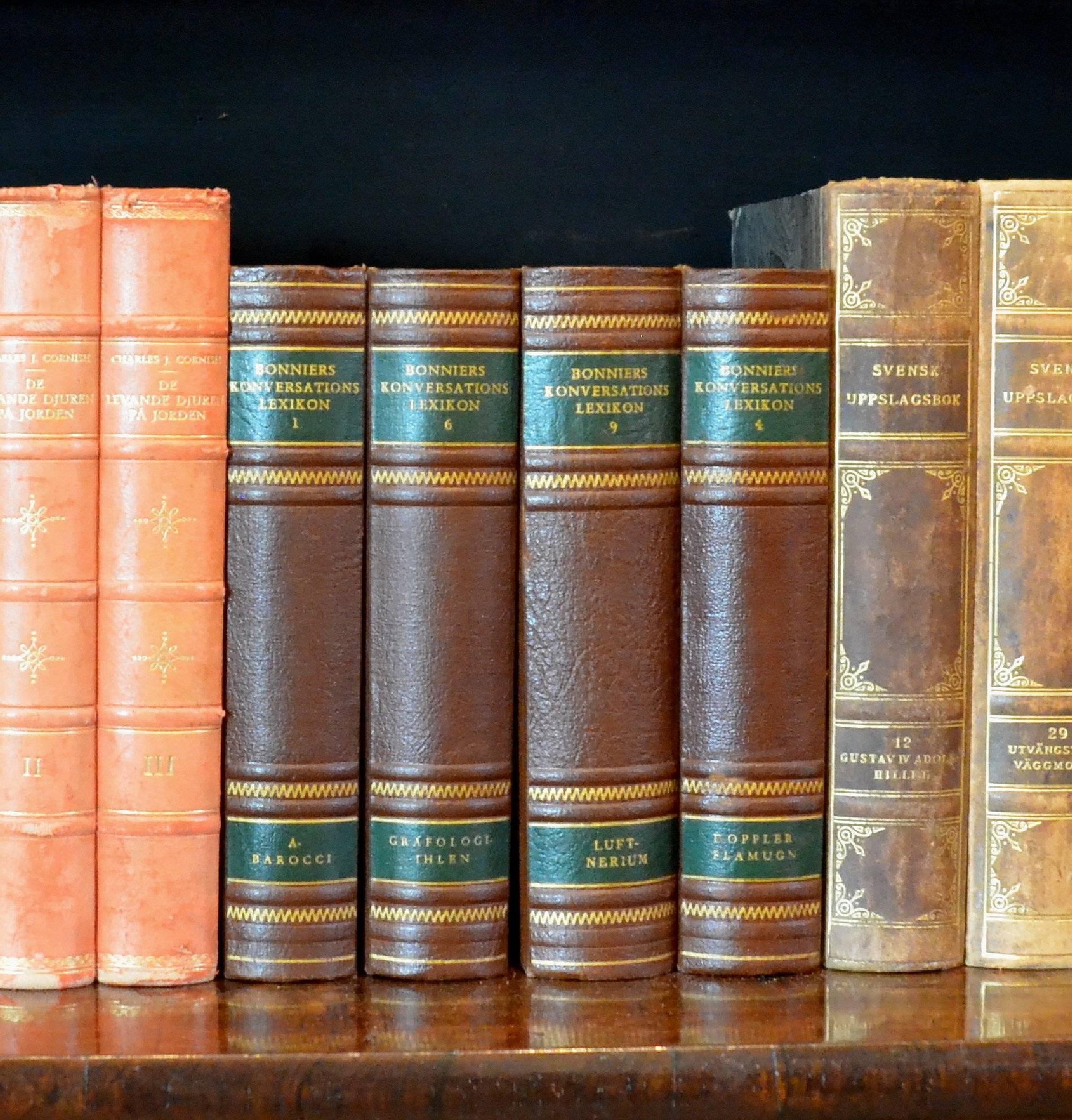 Embossed Meter of Early 20th Century Leather Bound Books, Series 01/02