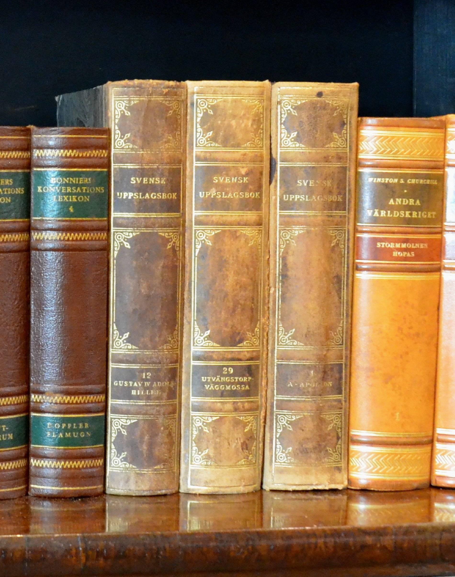 Meter of Early 20th Century Leather Bound Books, Series 01/02 In Good Condition In London, GB