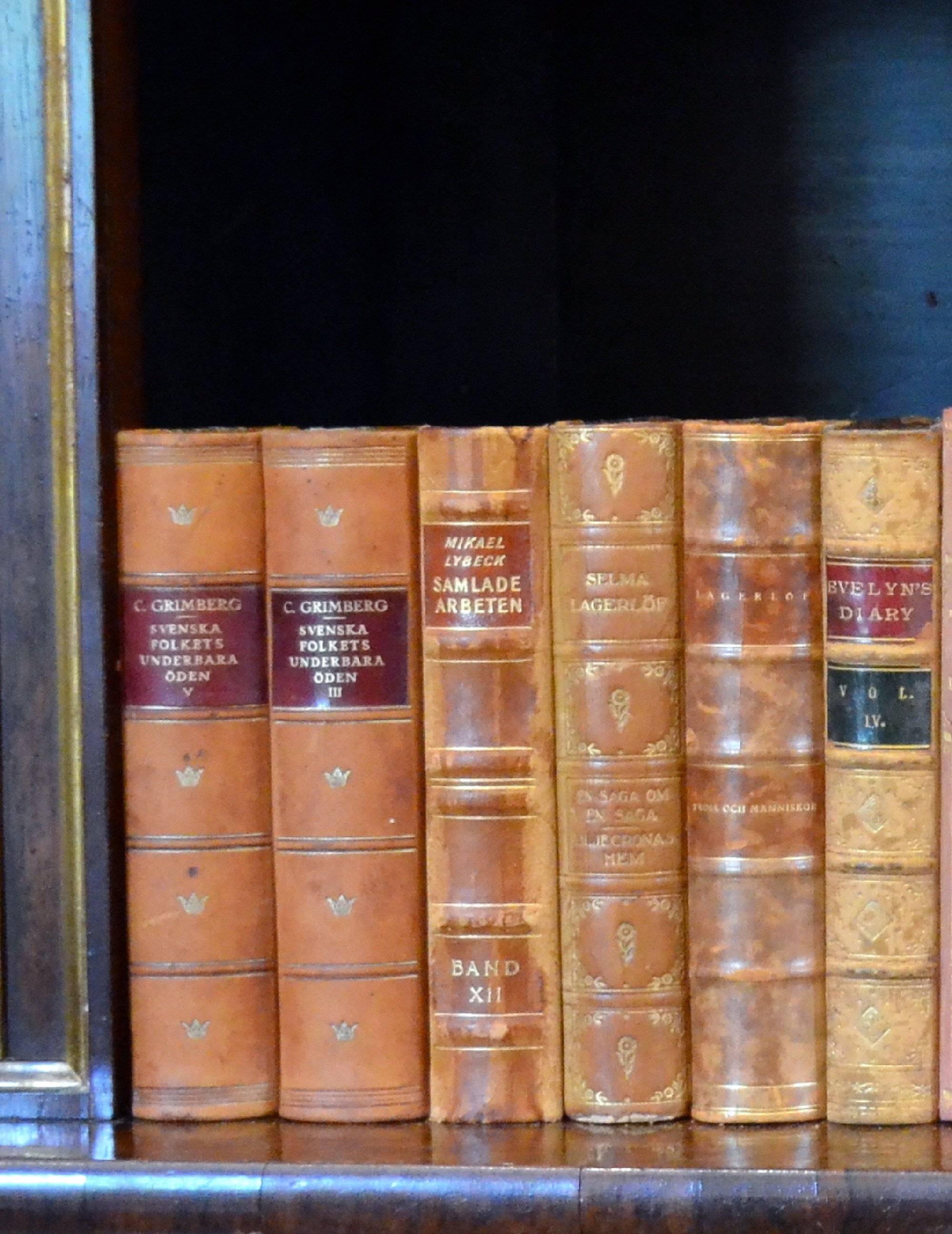 This metre of leather-bound books contains 31 books, in warm rich tones of light brown, tan, yellow gold and orange gold with gold leaf embossing. These books are all in very good condition and would beautifully enhance any bookcase or library.