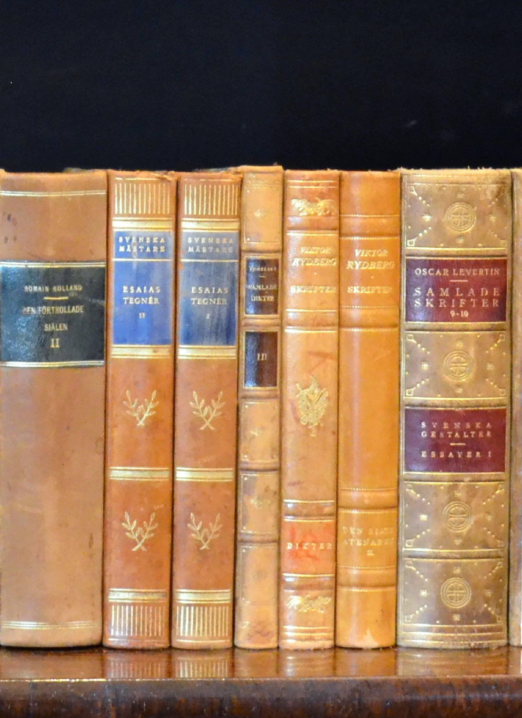 Meter of Early 20th Century Leather Bound Books, Series 13/14 In Good Condition In London, GB