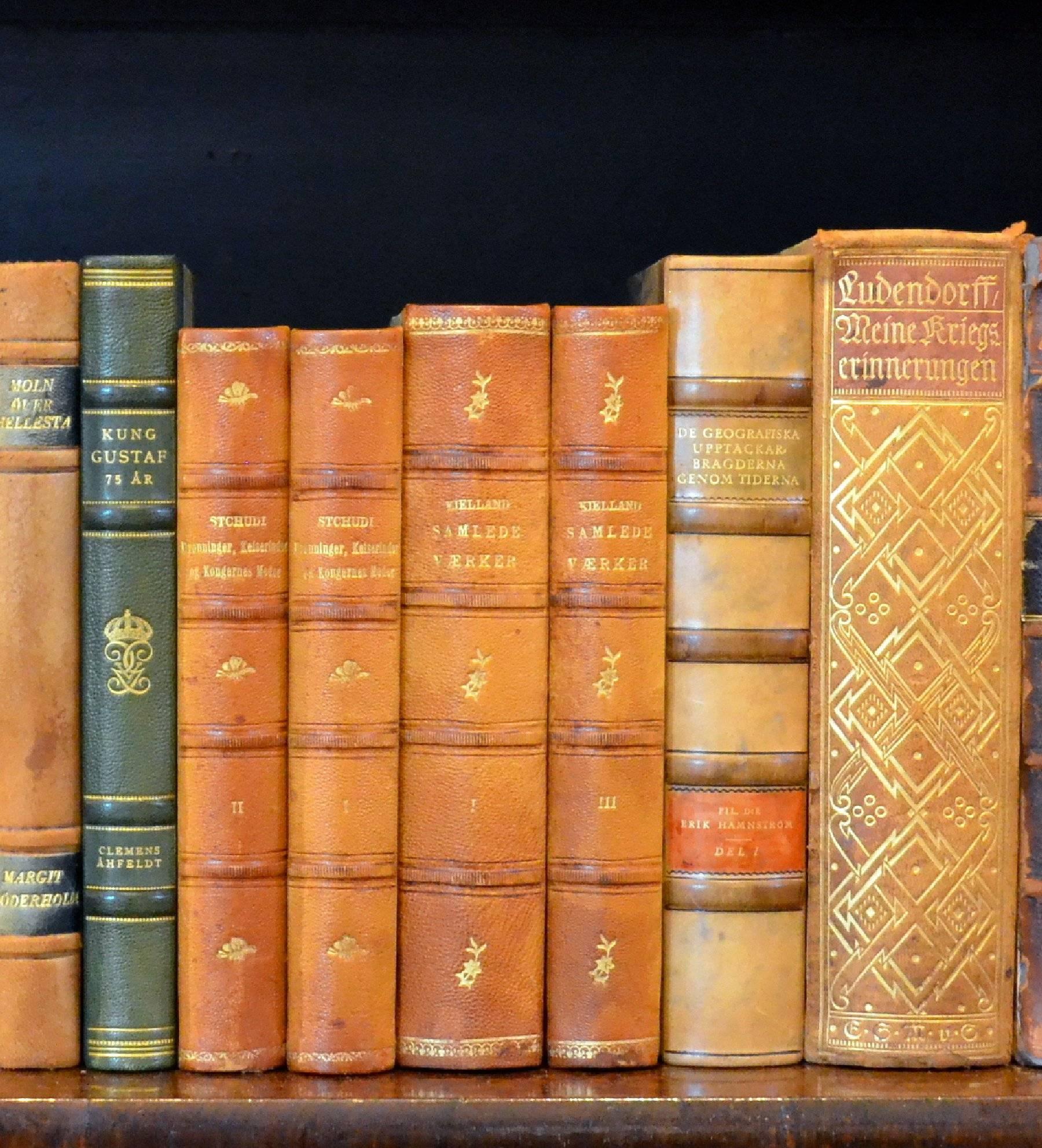 Meter of Early 20th Century Leather Bound Books, Series 21/22 In Good Condition In London, GB