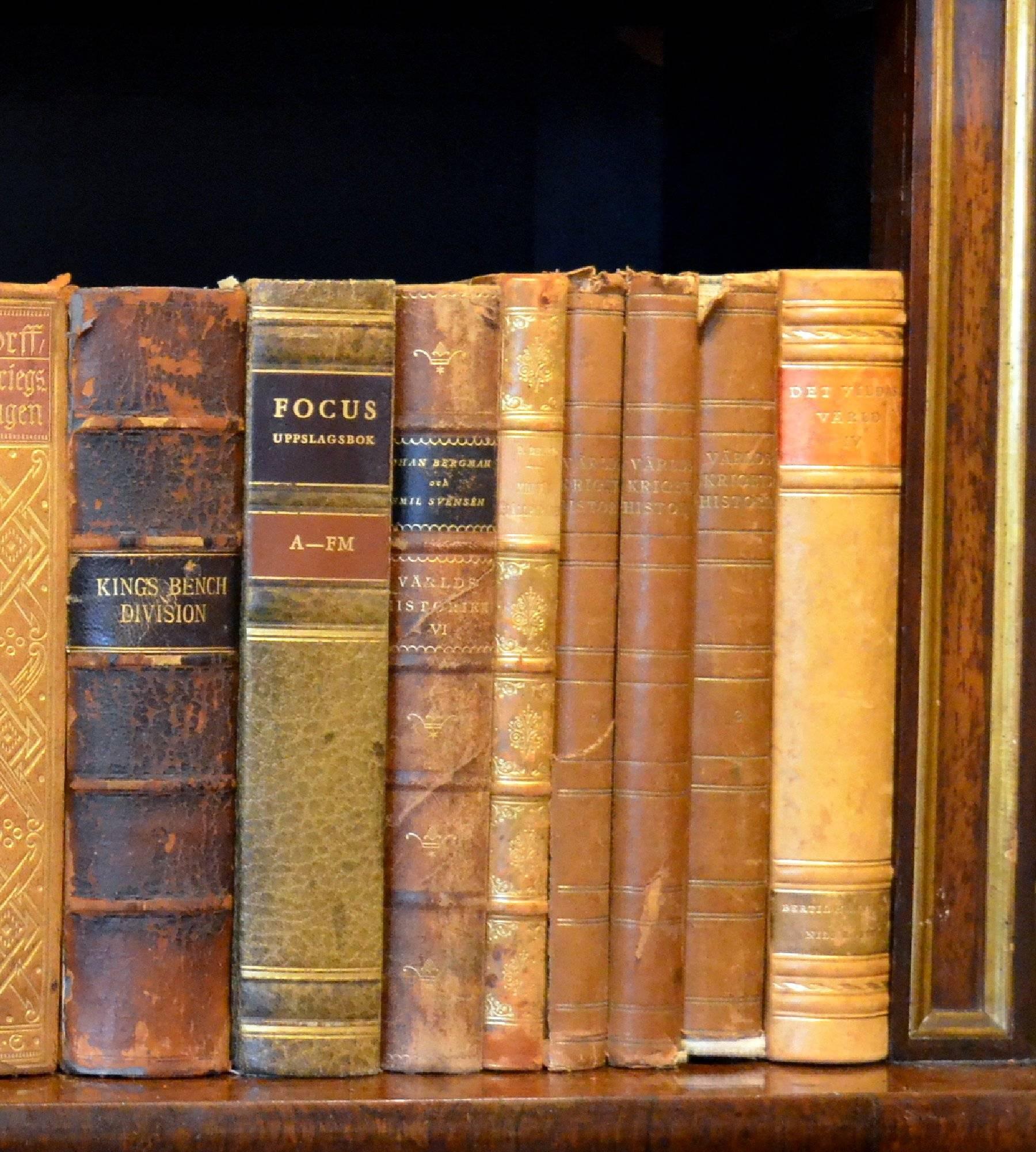 Meter of Early 20th Century Leather Bound Books, Series 21/22 1