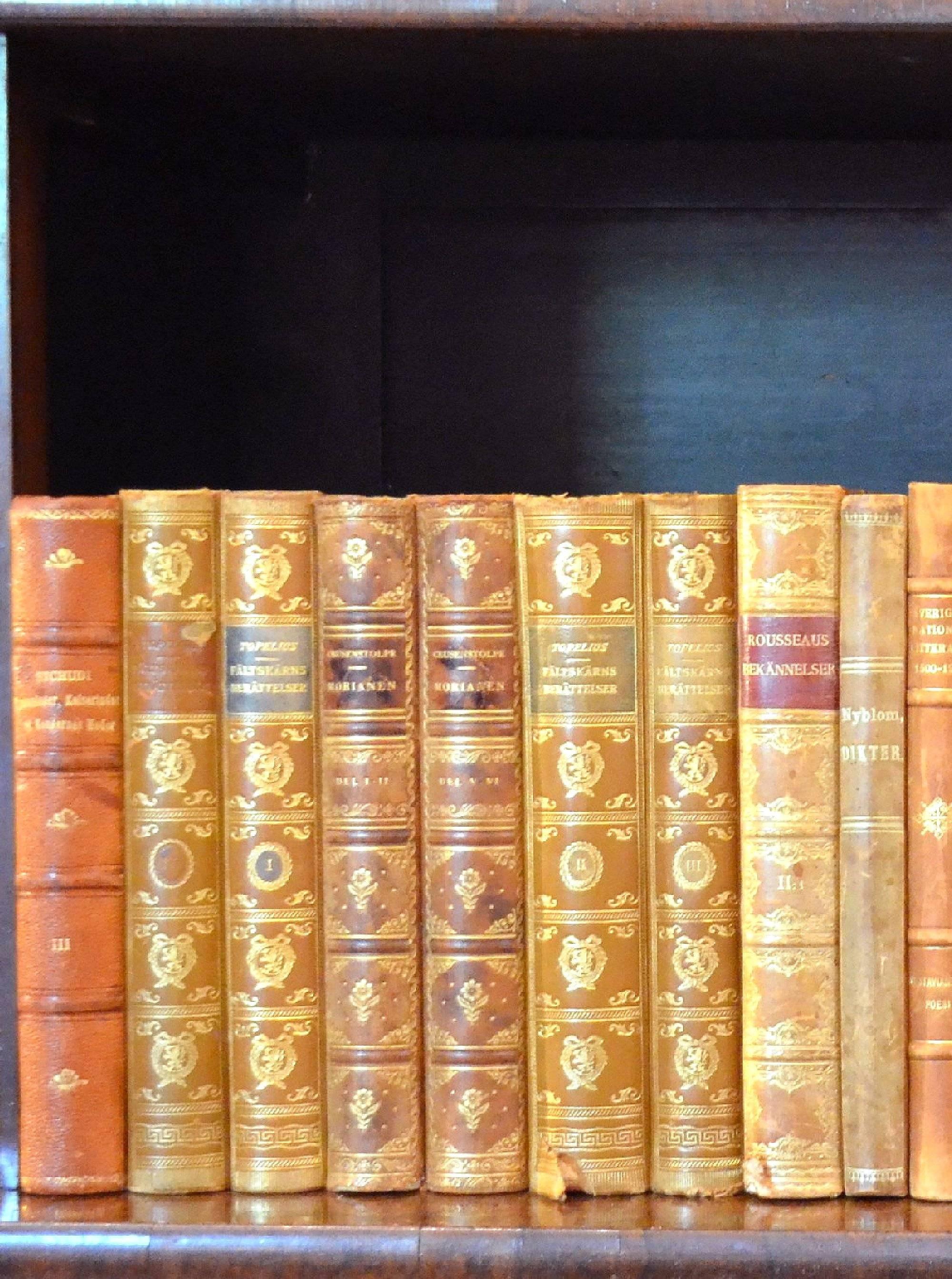 This meter of leather-bound books contains 35 books, in warm rich tones of light brown, tan, yellow gold and orange gold with gold leaf embossing. These books are all in very good condition and would beautifully enhance any bookcase or library. The