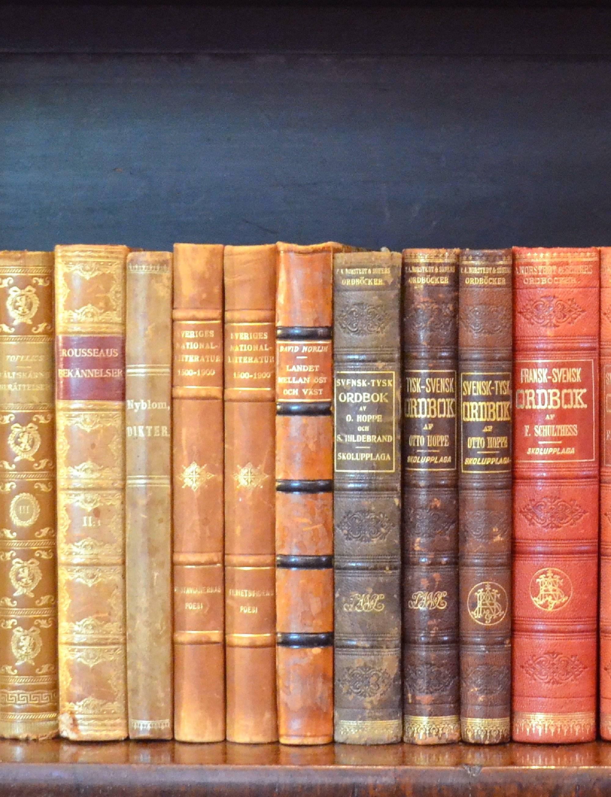 Swedish Early 20th Century Leather Bound Library Books Series 23/24