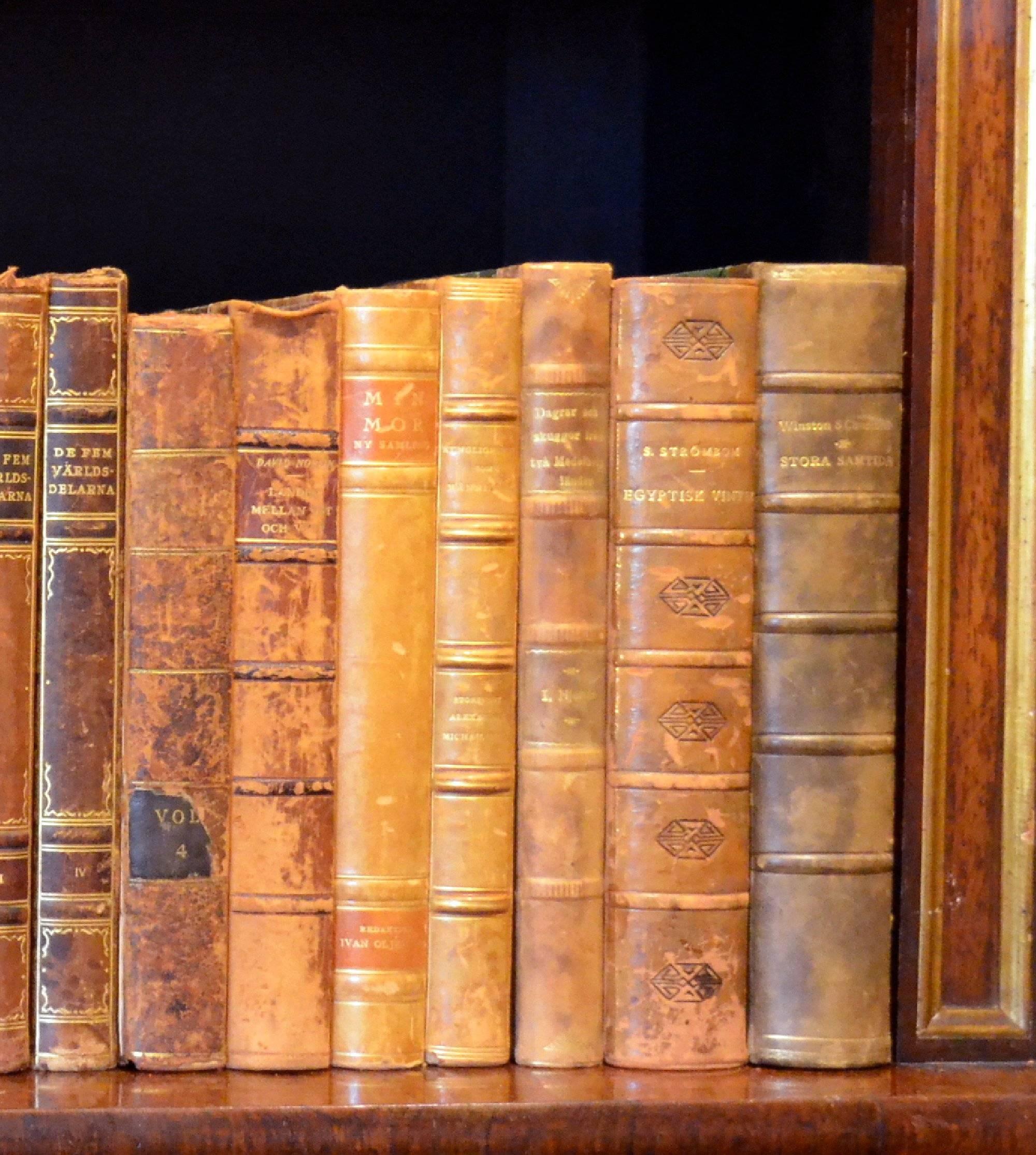 Early 20th Century Leather Bound Library Books Series 23/24 2