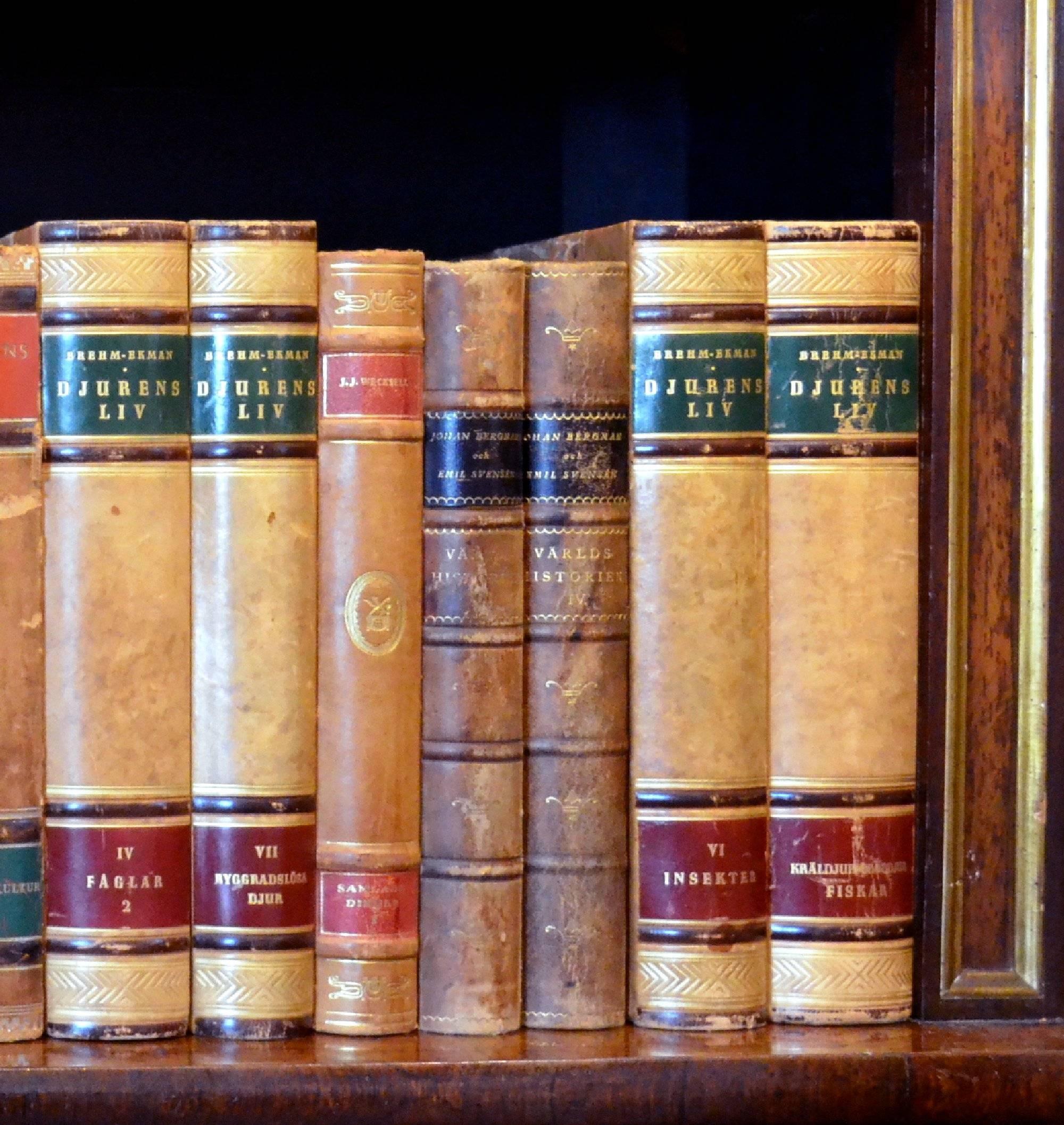 Metre of Early 20th Century Leather Bound Books, Series 29/30 In Good Condition In London, GB