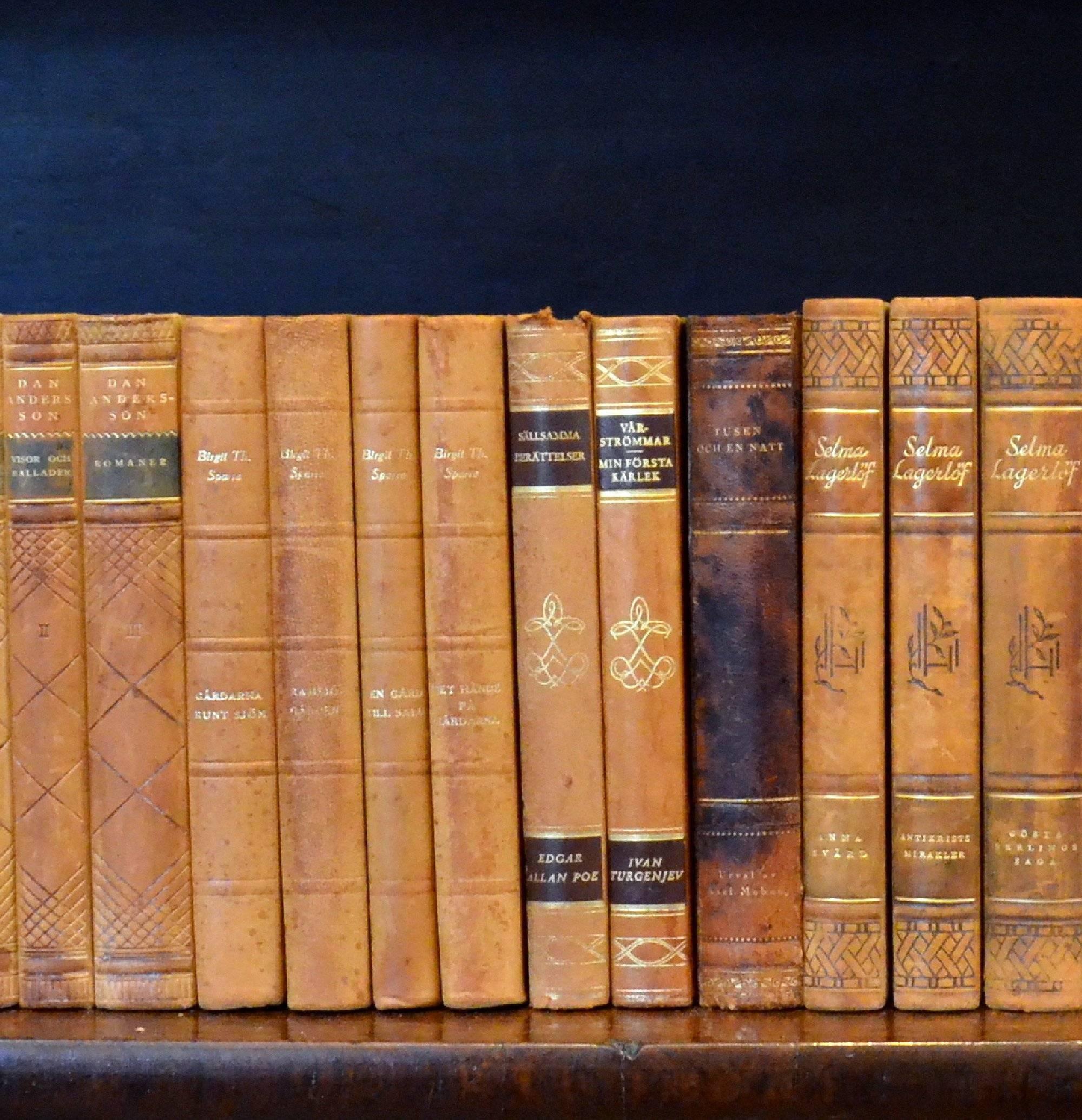 Swedish Meter of Early 20th Century Leather Bound Books, Series 33