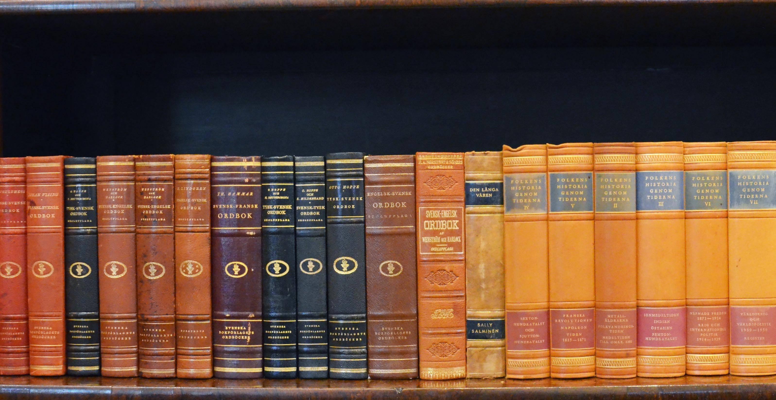 Early 20th Century Leather Bound Library Books Series 41 1