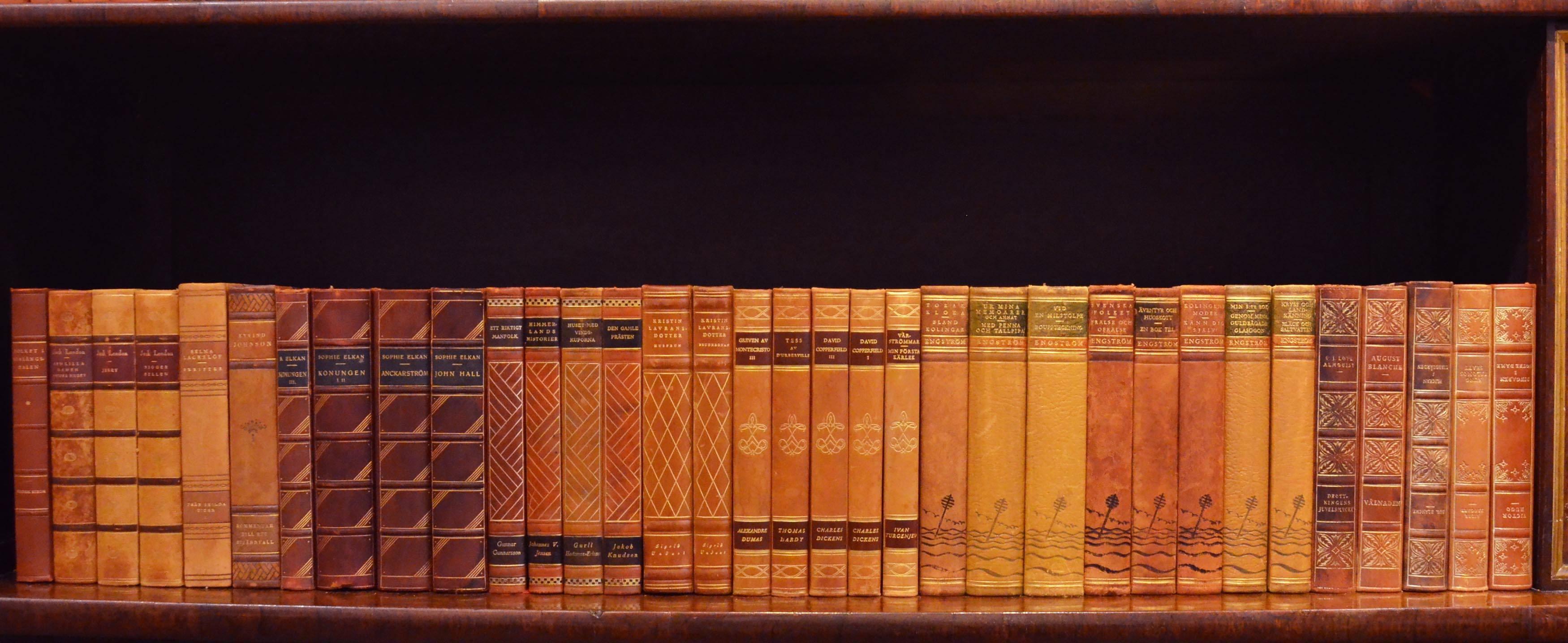 Early 20th Century Leather Bound Library Books Series 42 2