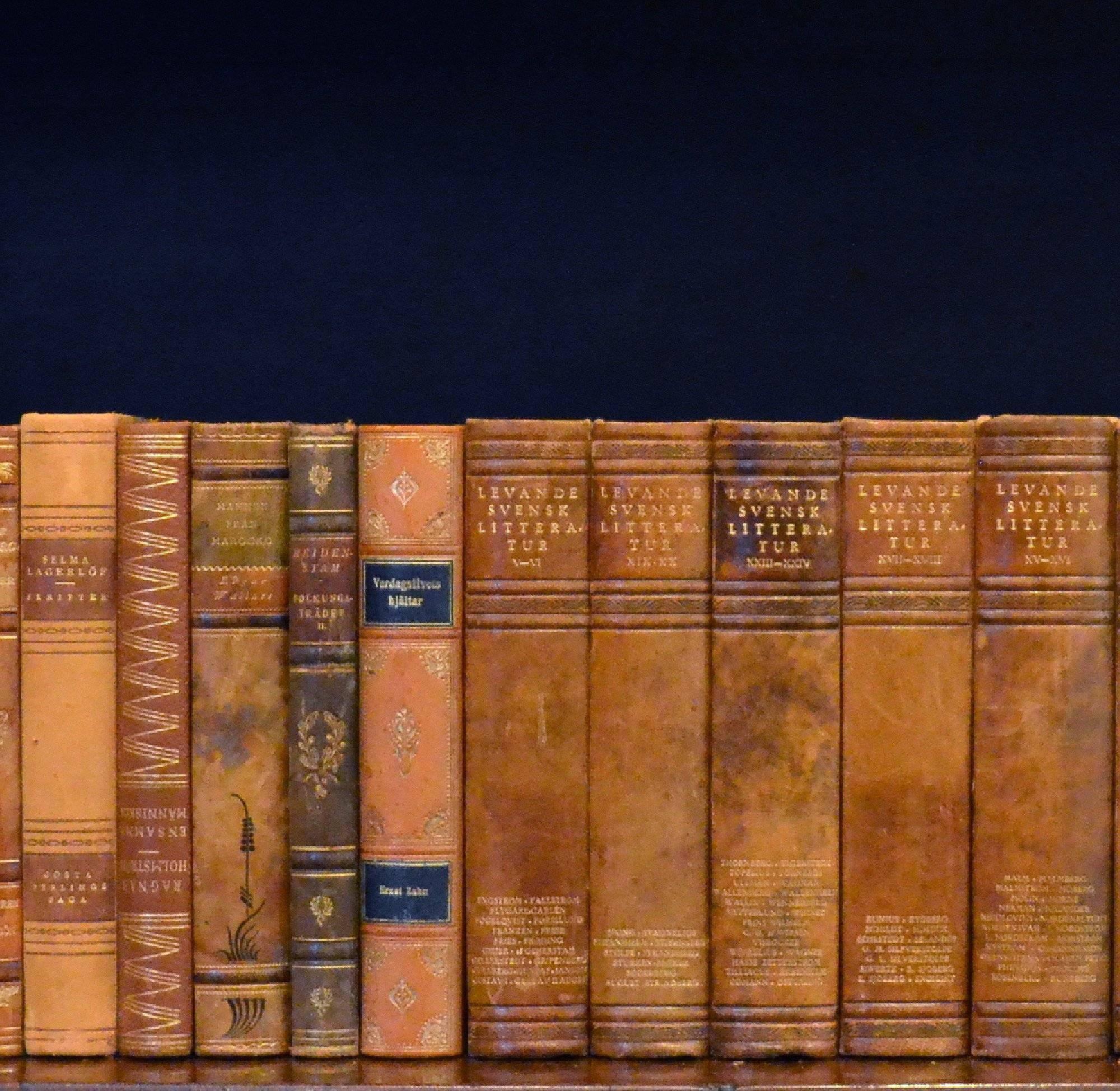 Swedish Early 20th Century Leather Bound Library Books Series 40