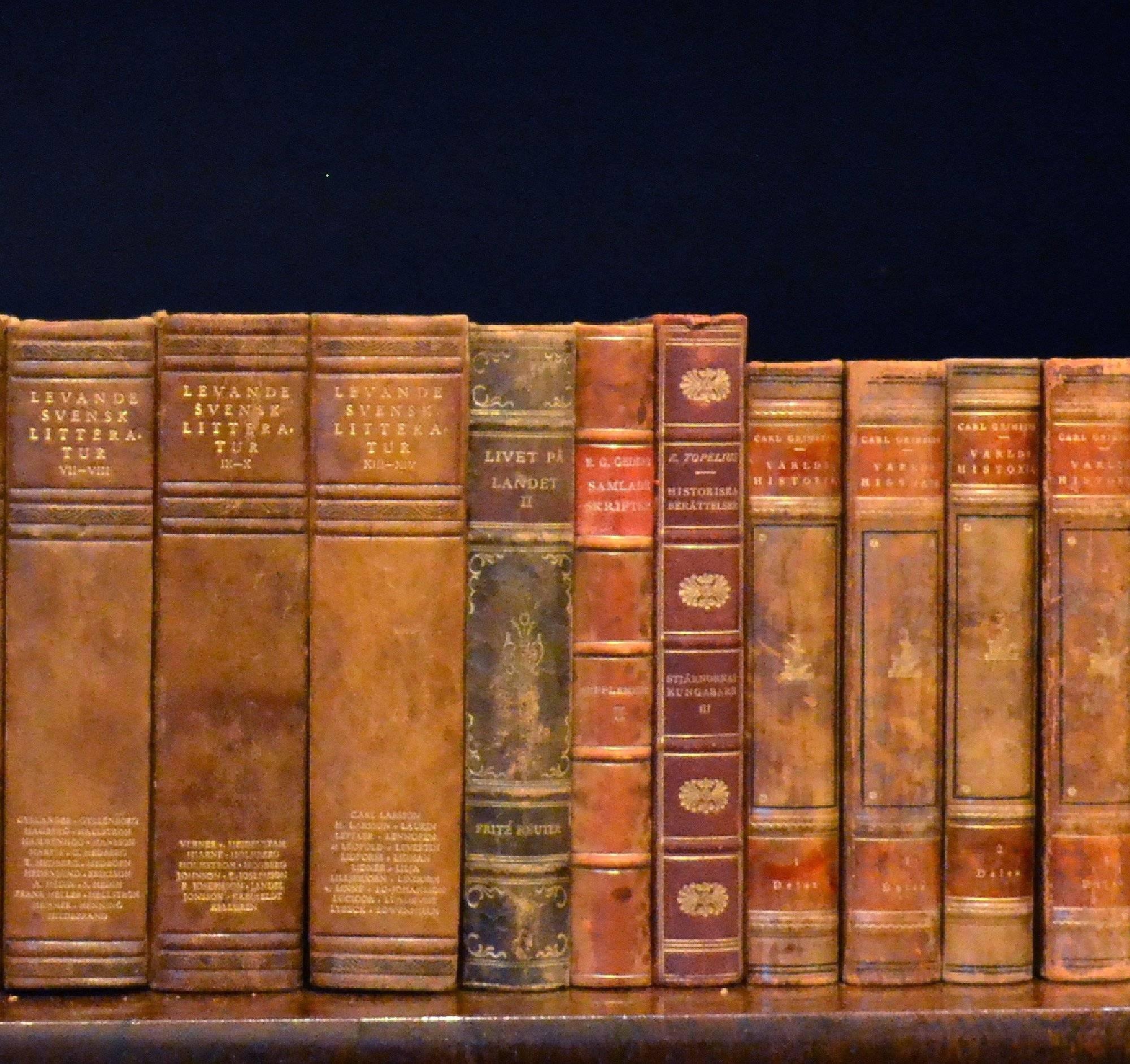 Early 20th Century Leather Bound Library Books Series 40 In Good Condition In London, GB