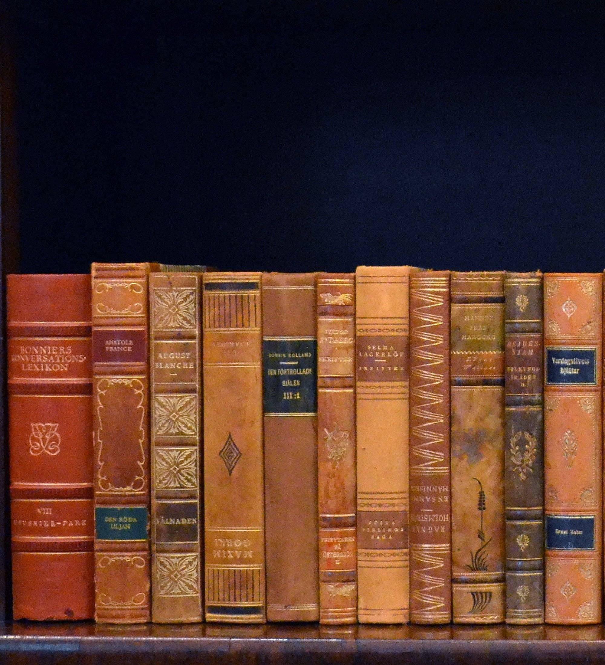 This meter of leather-bound Swedish Literature books contains 31 books, in warm rich tones of dark tan and dark gold with gold leaf embossing. Aside from a few books that are scuffed and scratched, these books are all in very good condition and
