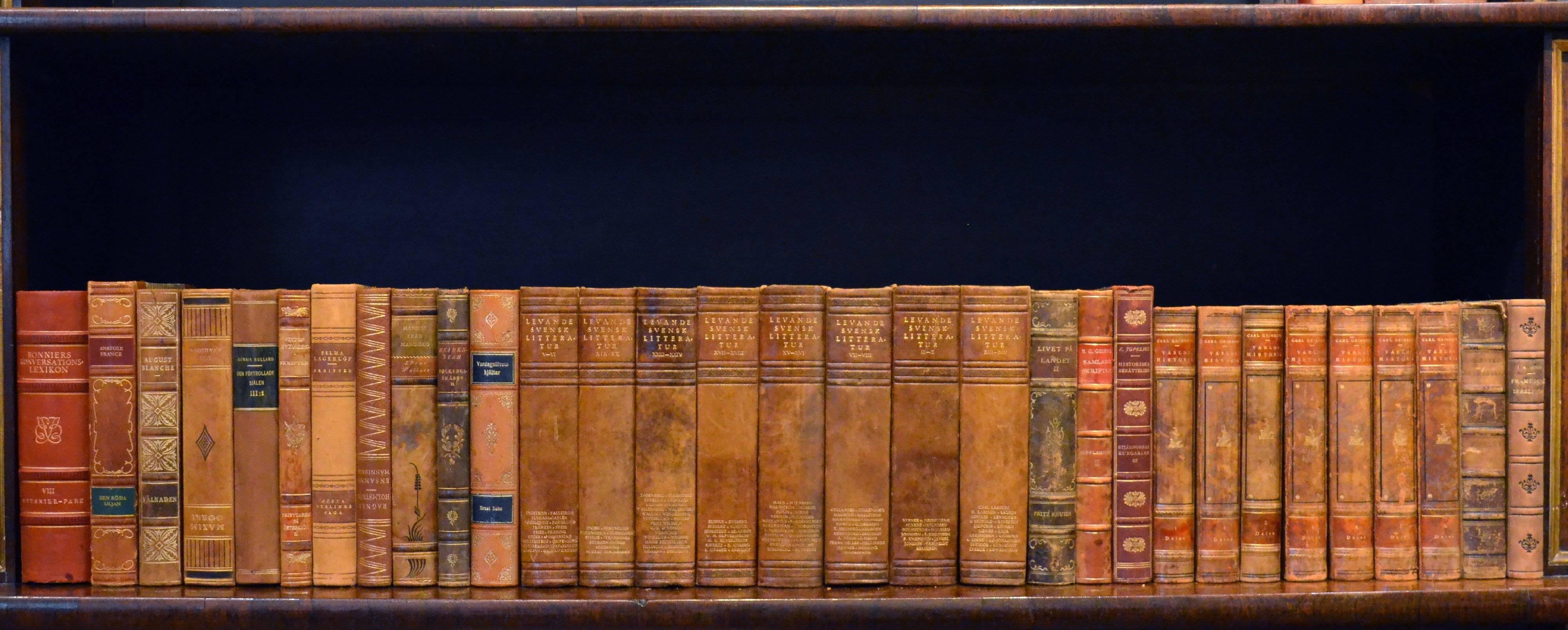 Early 20th Century Leather Bound Library Books Series 40 2