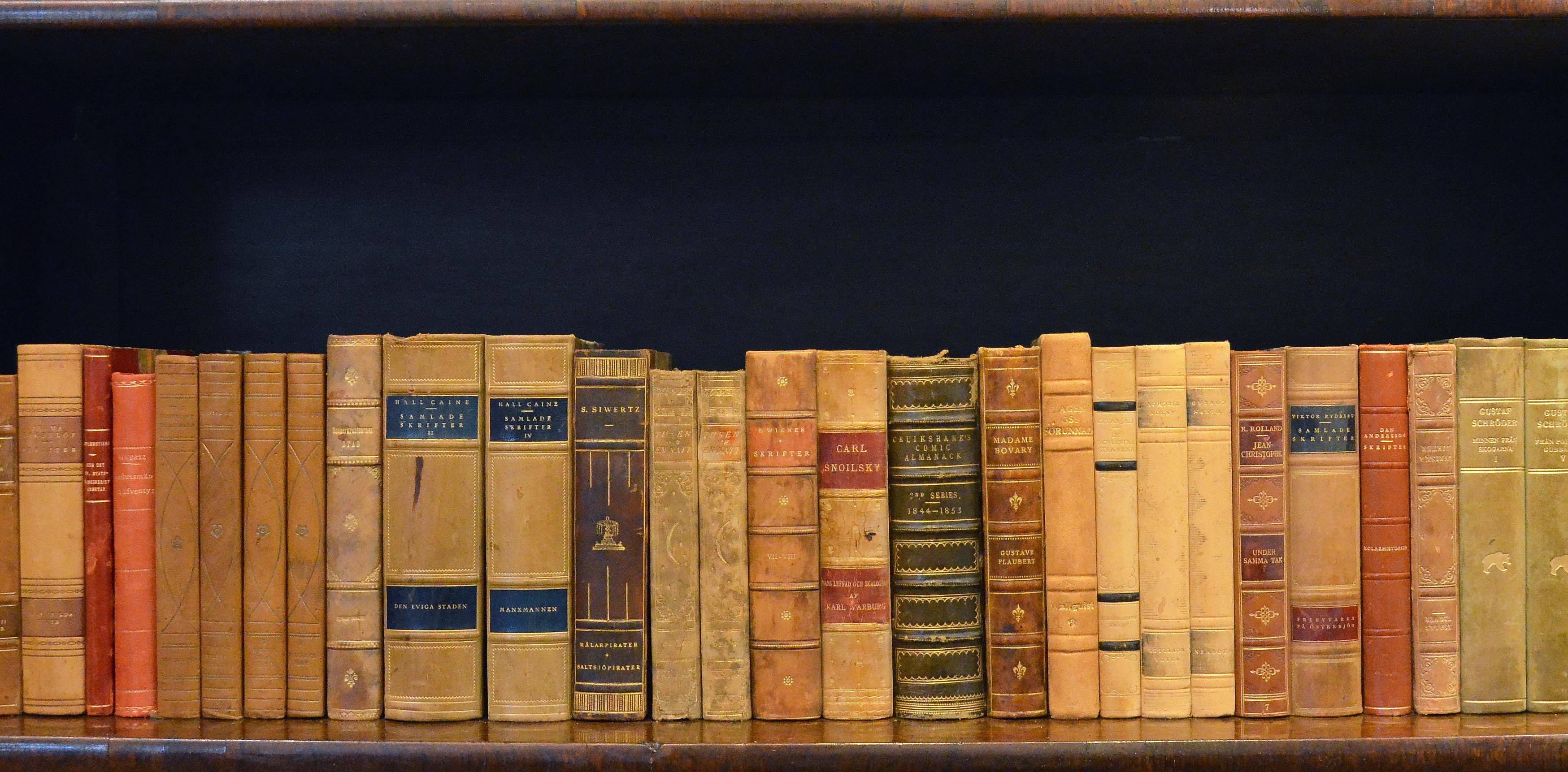 Early 20th Century Leather Bound Library Books Series 45 1