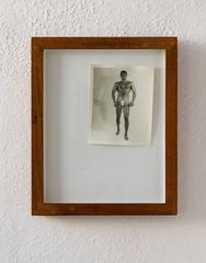 Set of Male Physique Photos