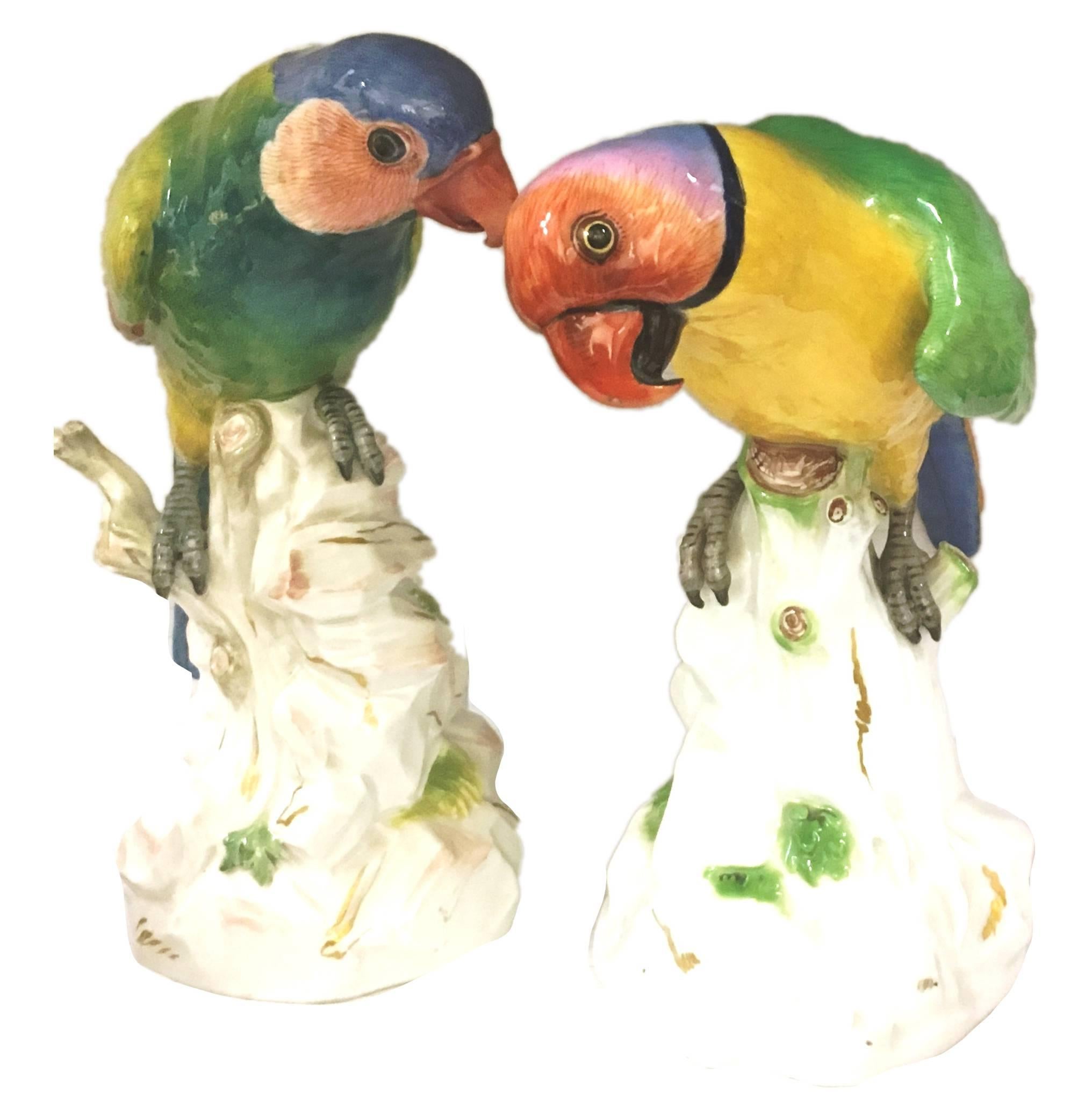 Allemand Paire de perroquets de Meissen du 19ème siècle