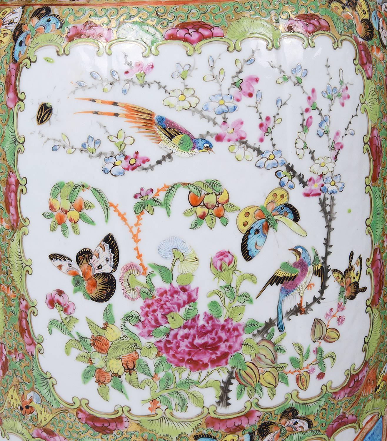 Gran Pareja de Jarrones / Lámparas Chinas de Cantón / Medallón Rosa, Siglo XIX en Bueno estado para la venta en Brighton, Sussex