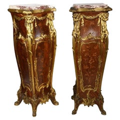 Antique Pair 19th Century Pedestals by Francoise Linke
