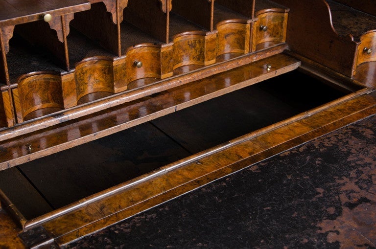 Veneer 18th Century Queen Anne Period Walnut Double Dome Bureau Bookcase For Sale