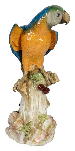Large Meissen Parrot, late C19th. 43cm