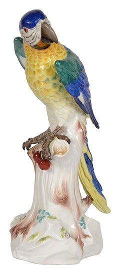 Large Meissen Parrot, late C19th.43cm