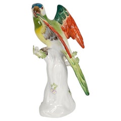 Late C19th Meissen Parrot, 26cm