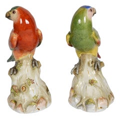 Pair late C19th Meissen Parrots, 24cm