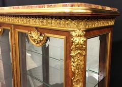 French 19th Century Kingwood Vitrine/Display Cabinet