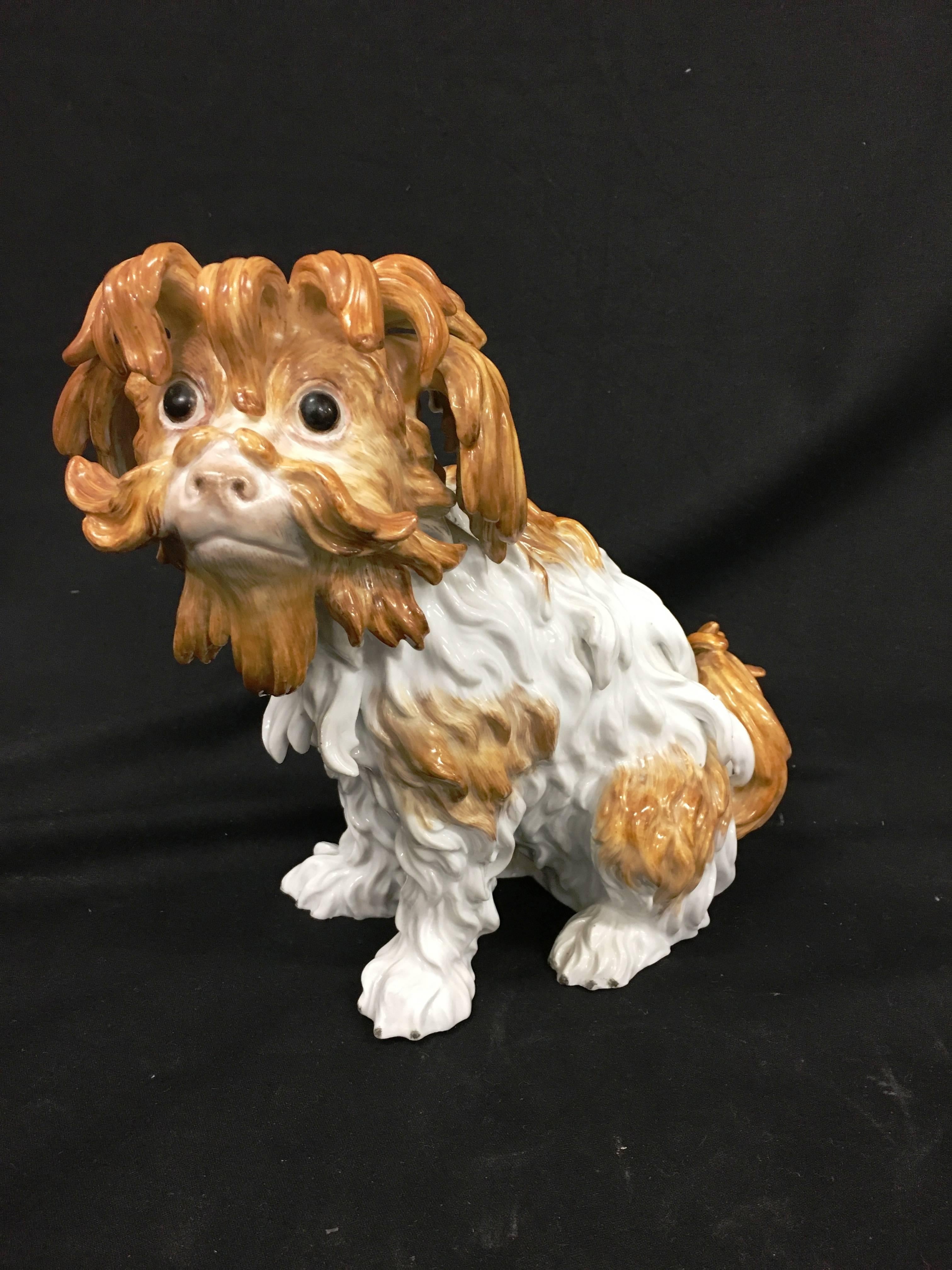 A near pair of 19th century Meissen porcelain Bolognese dog.