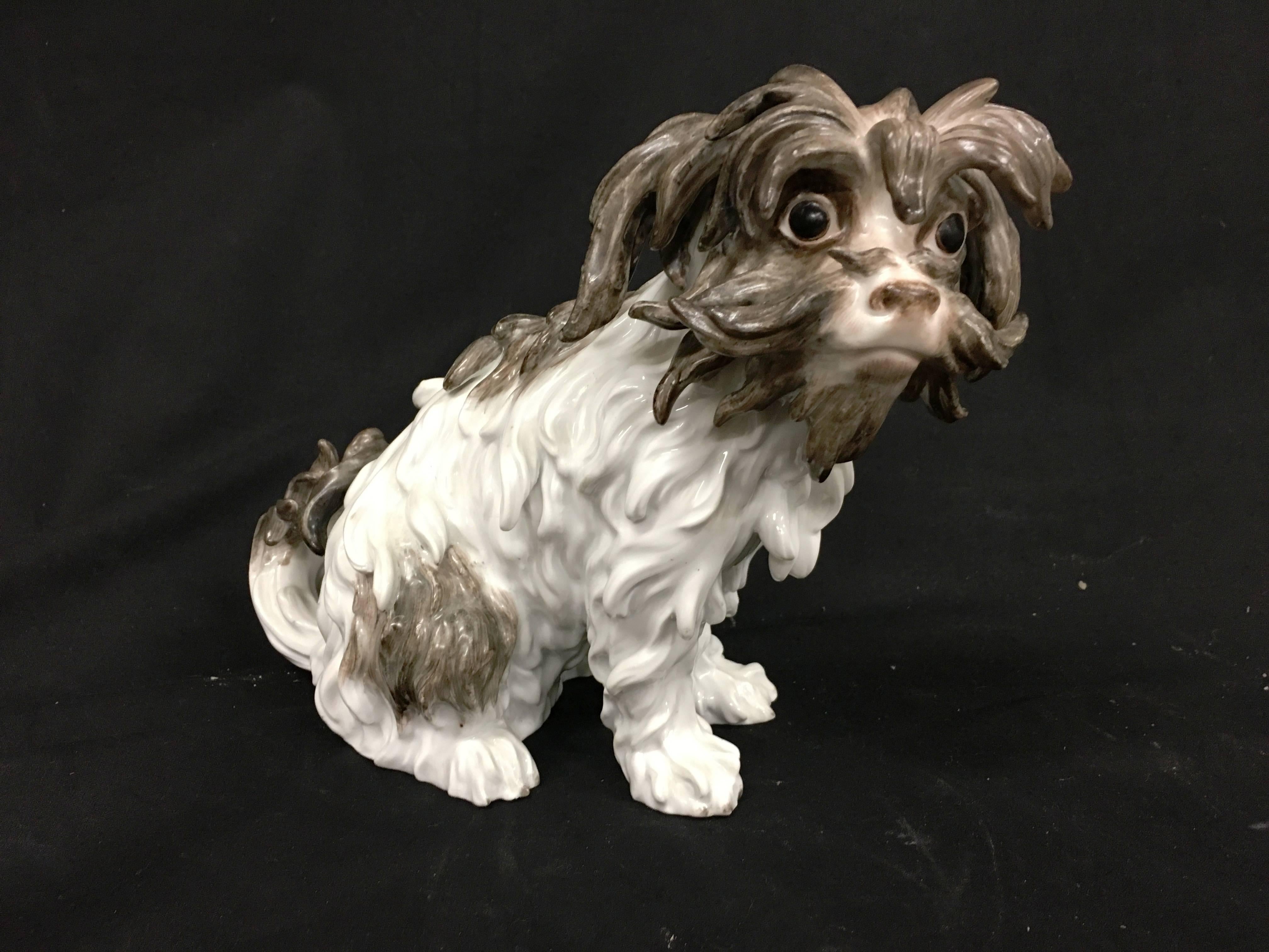 Porcelain Two Meissen Bolognese Dogs, 19th Century