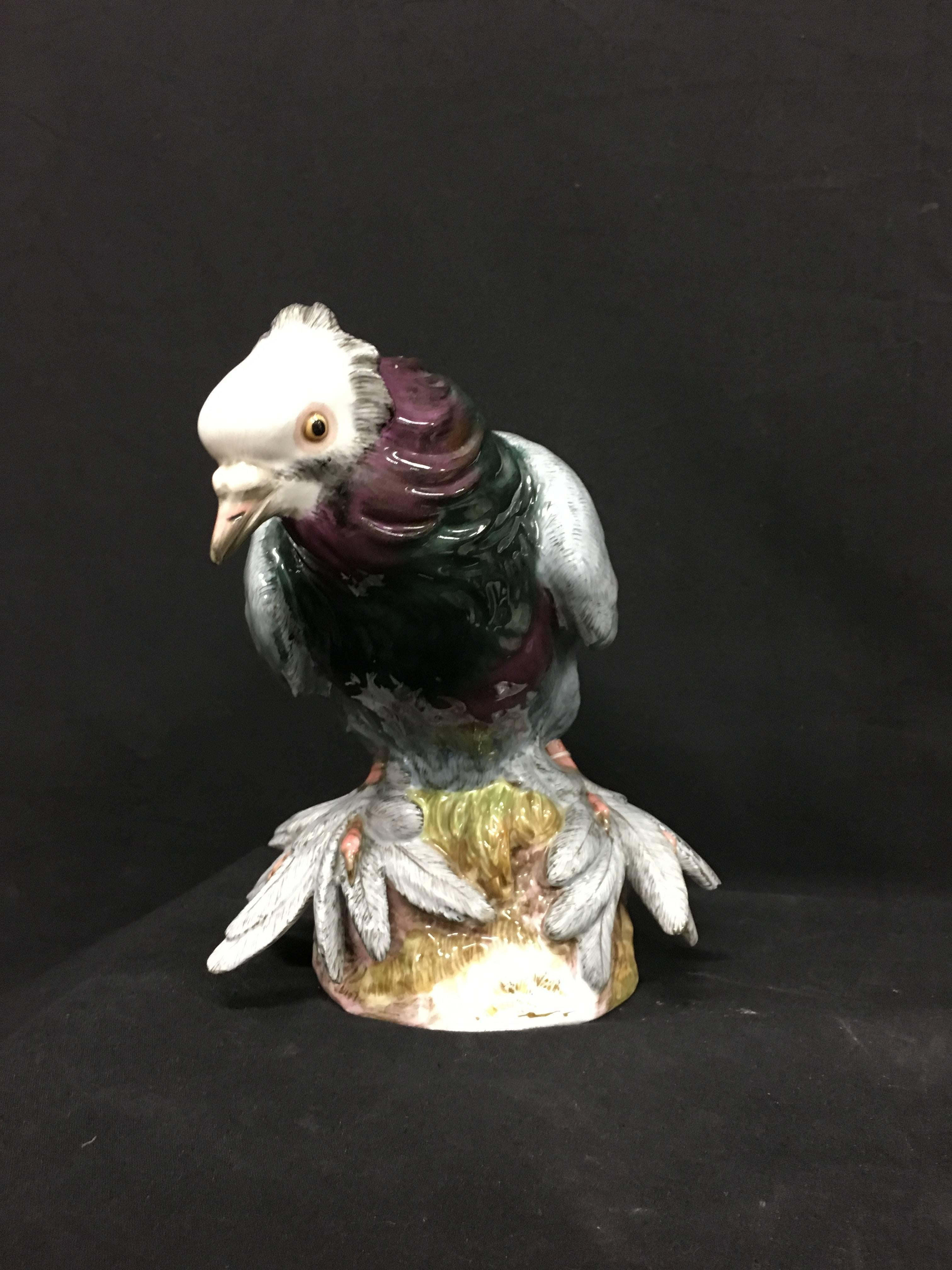 A good quality late 19th century Meissen porcelain figure of a pigeon, having bold colors and good condition.
