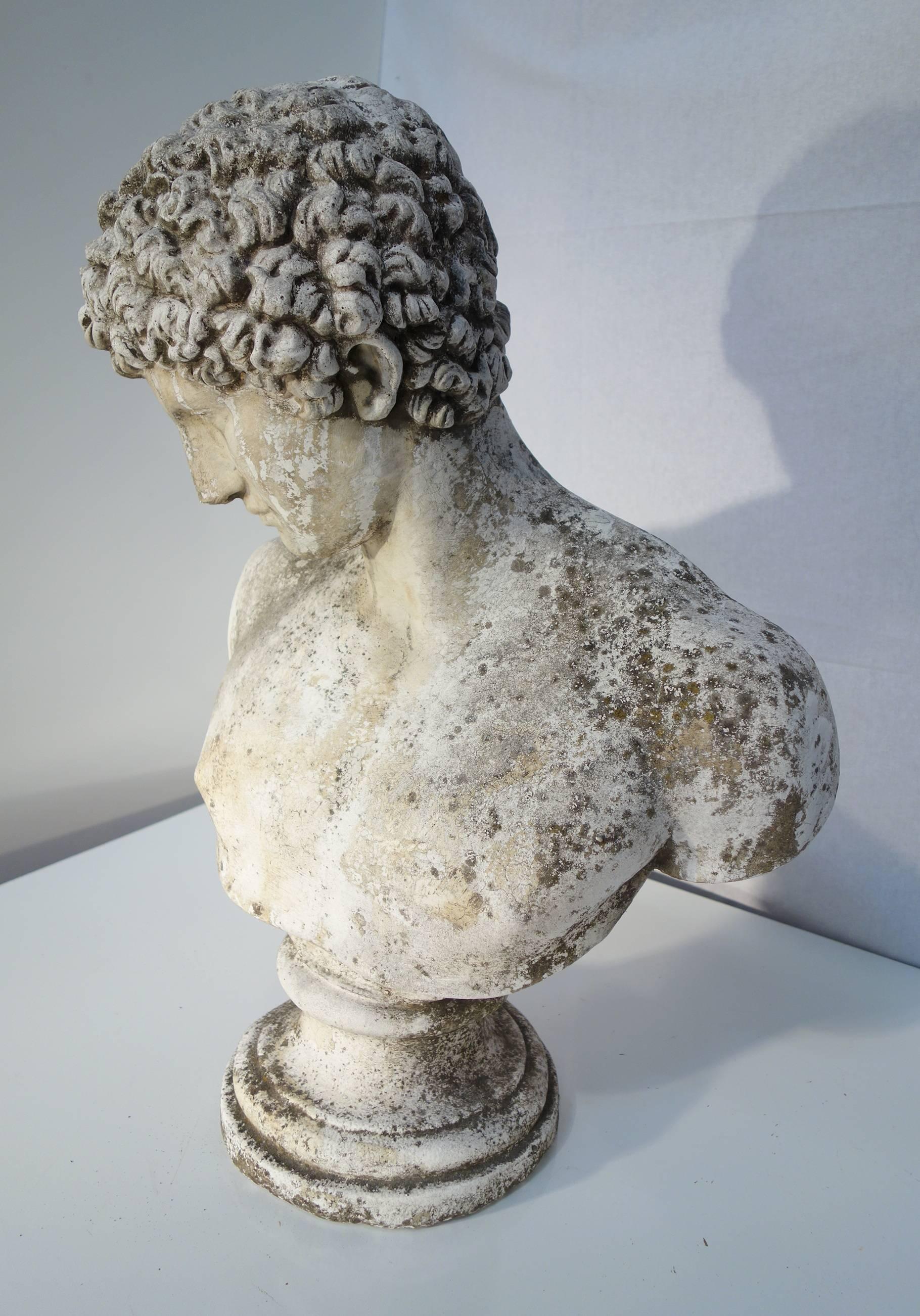 Classical Roman Italian Vintage Classic Hermes Capitolino Bust