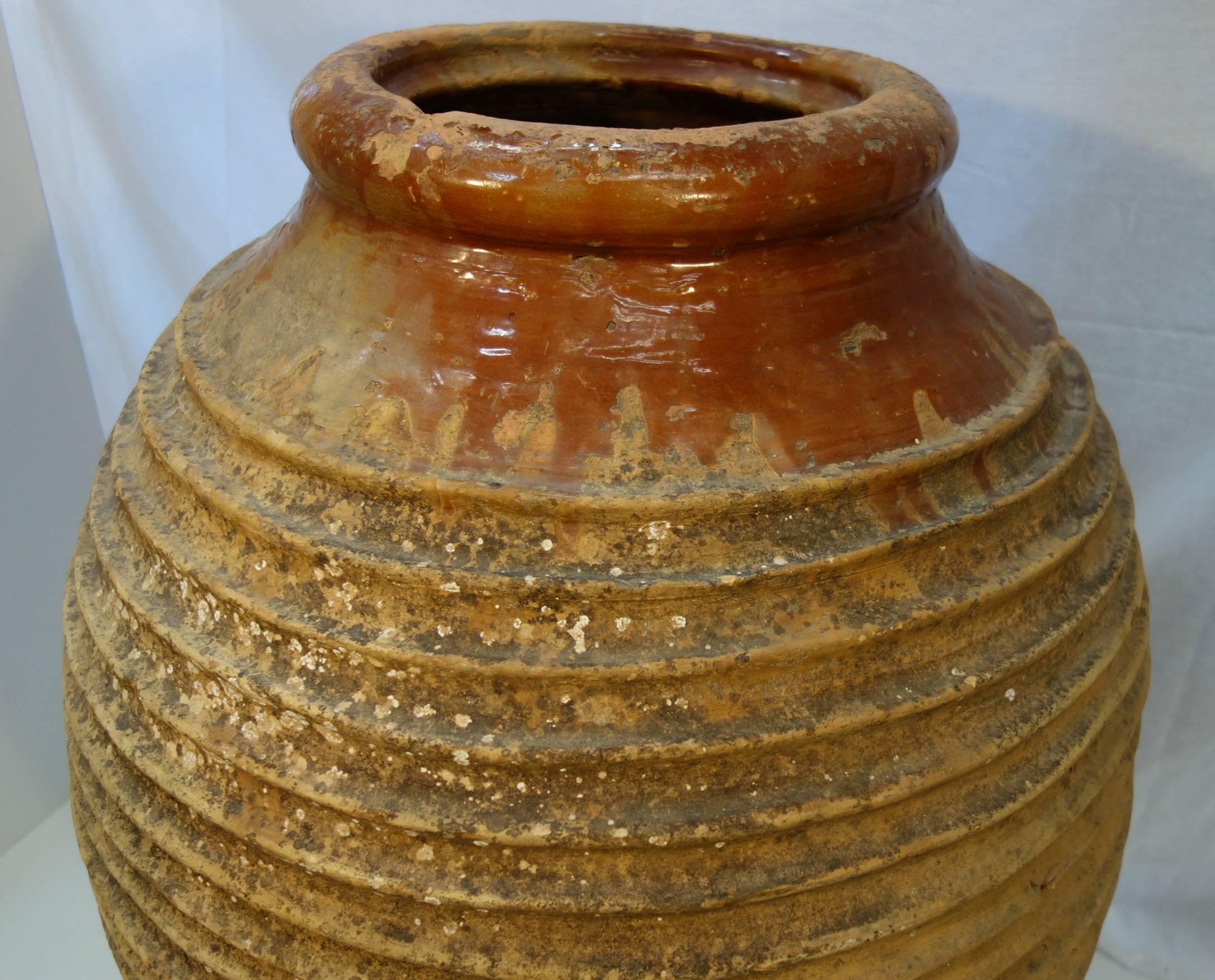 Terracotta 19th Century Mediterranean Olive Jar