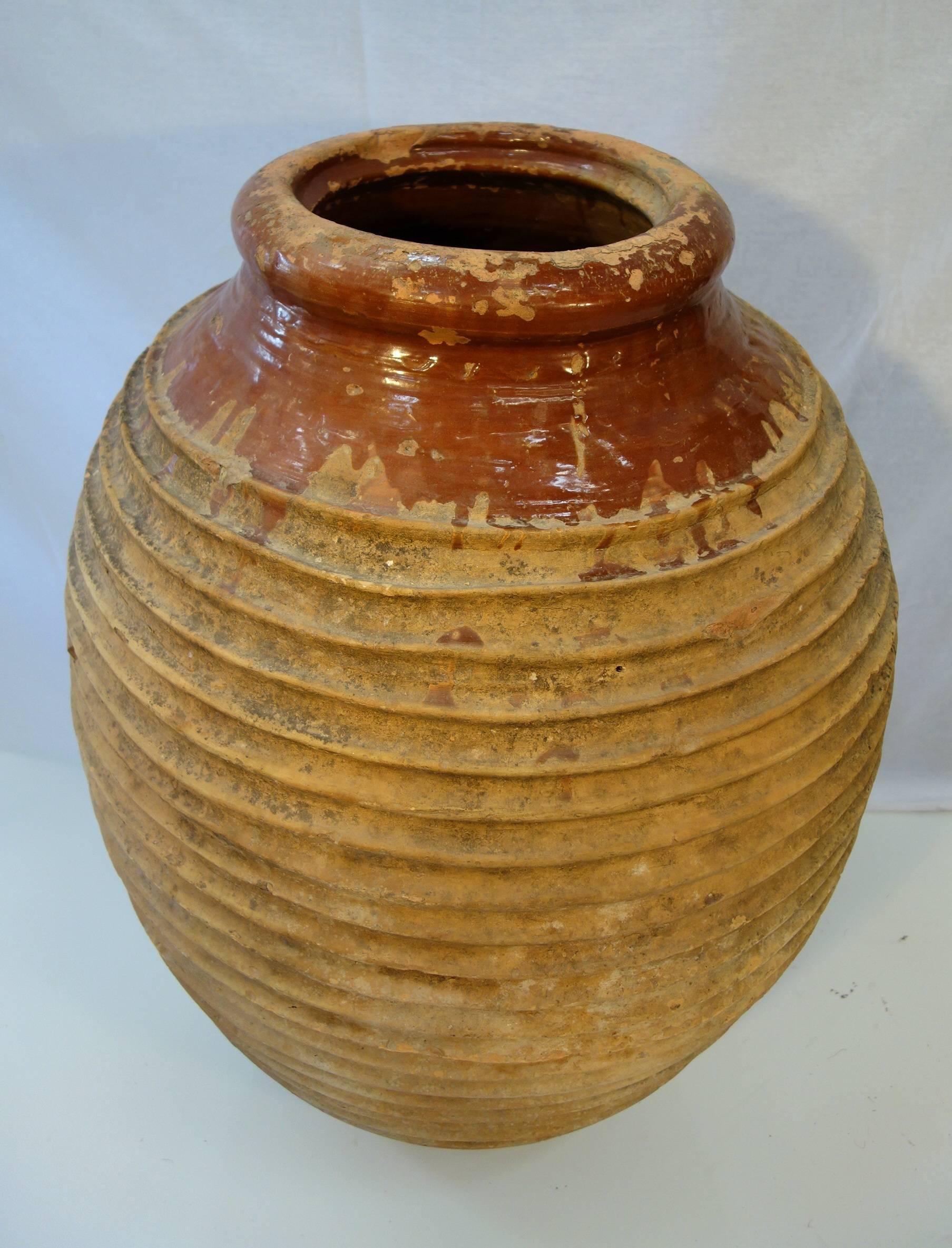 Classical Greek 19th Century Mediterranean Olive Jar