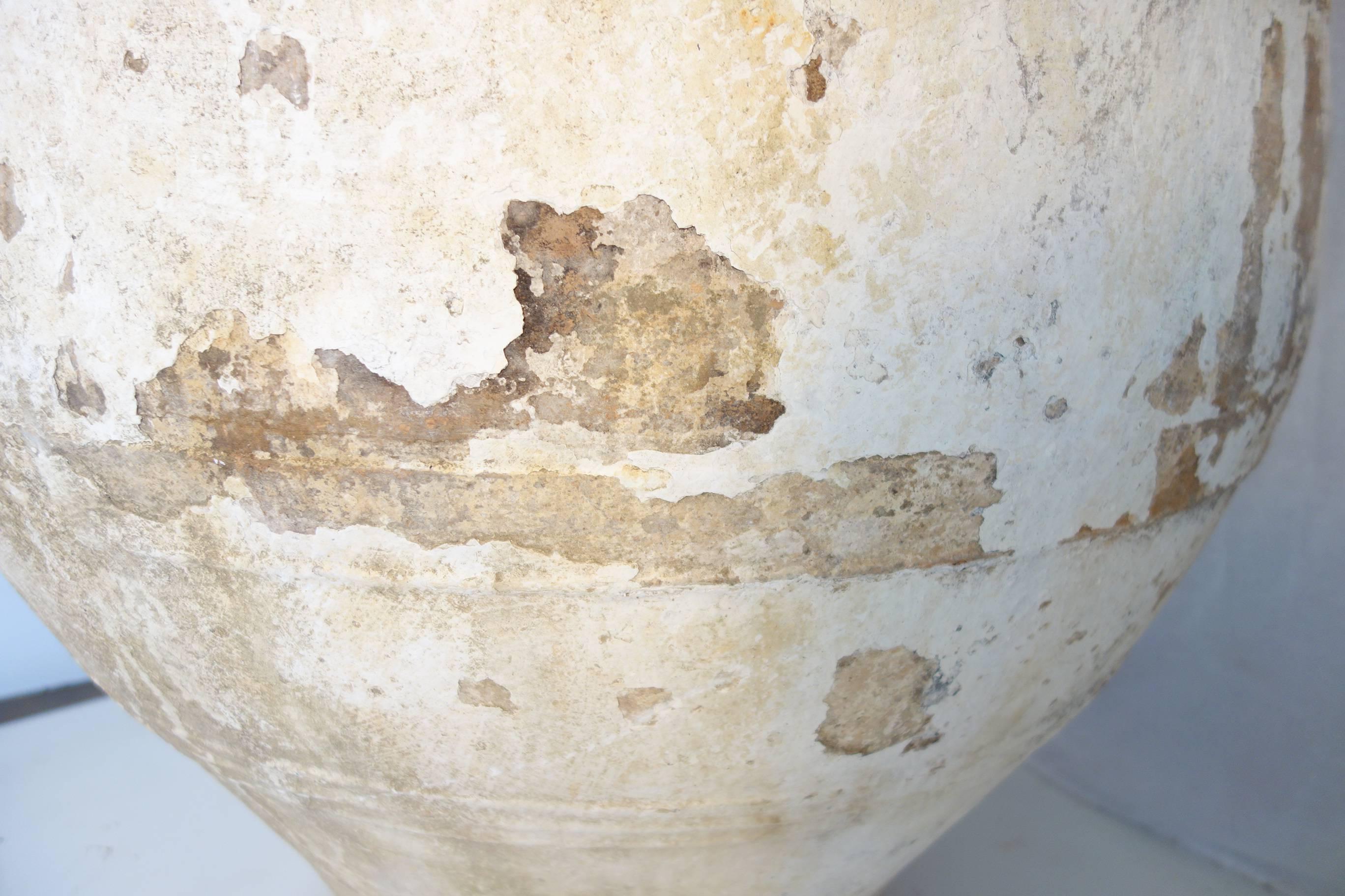 19th Century Big Mediterranean Terracotta Ampora Jar with White Patina 3
