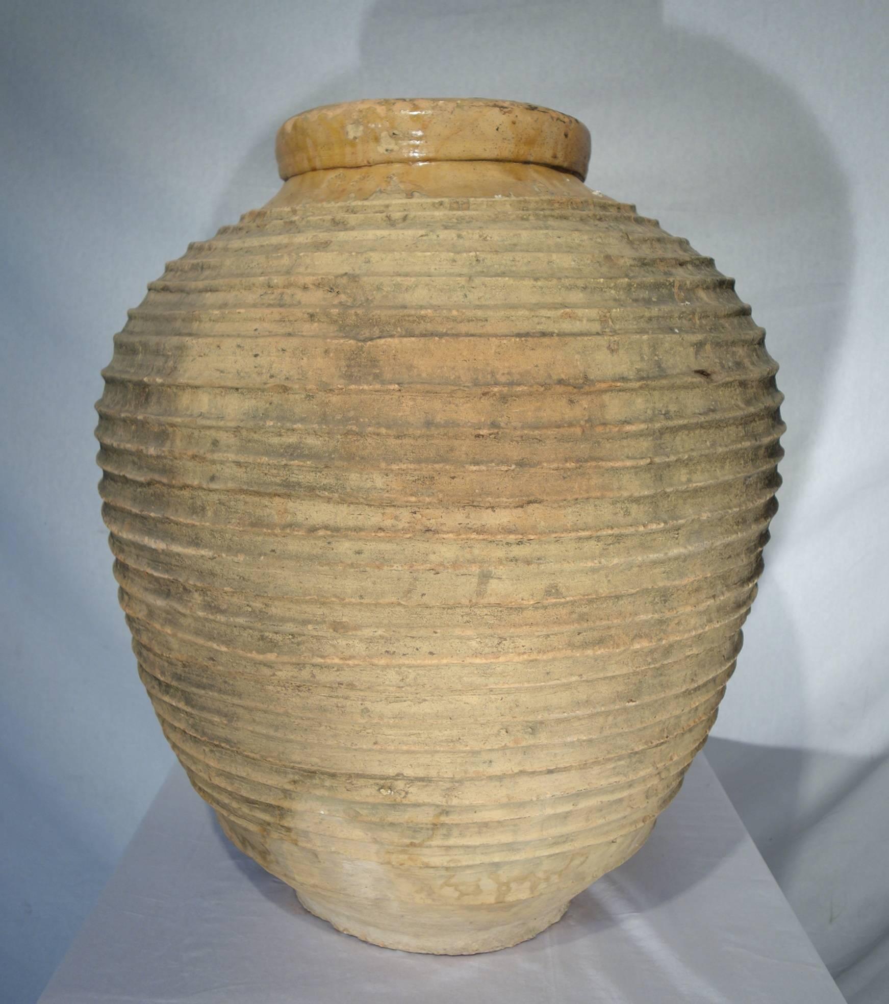 Peloponnesian Koroni jar naturally weathered into a beautiful dark patina with lichen. Around the top neck the clay presents a beautiful ochre glaze. Typical "orcio" cruse shape obtained by rings on rings of clay.
 